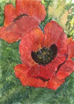 "Poppies" by Ginny Bores, Madison WI - Watercolor